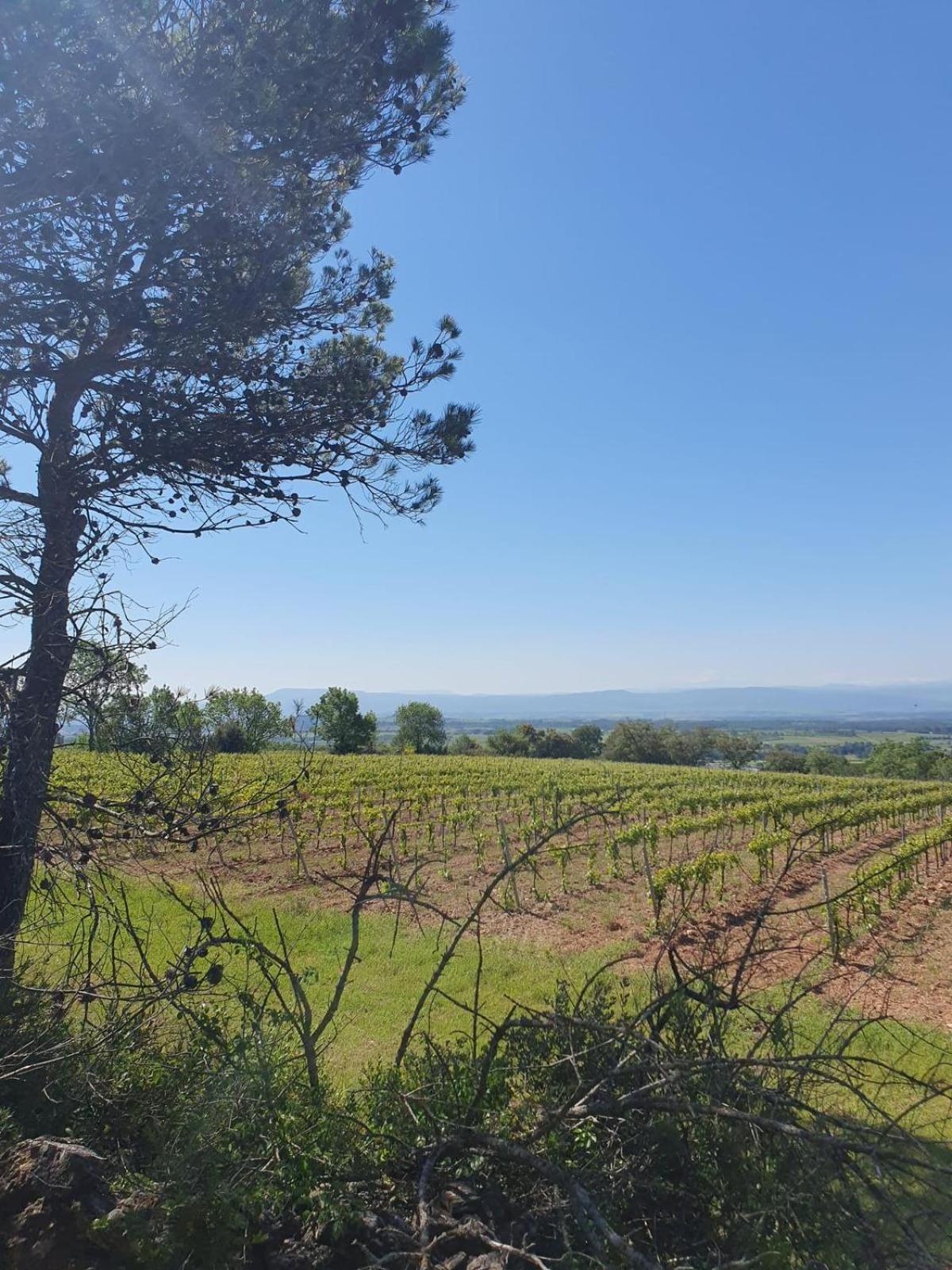 Maison De Charme Caunes-Minervois Eksteriør bilde